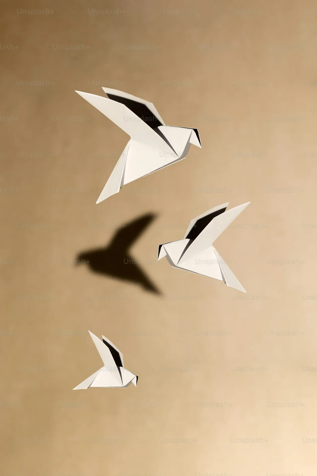 Paper Art: Origami, Papercutting, and the Sculptural Sheet