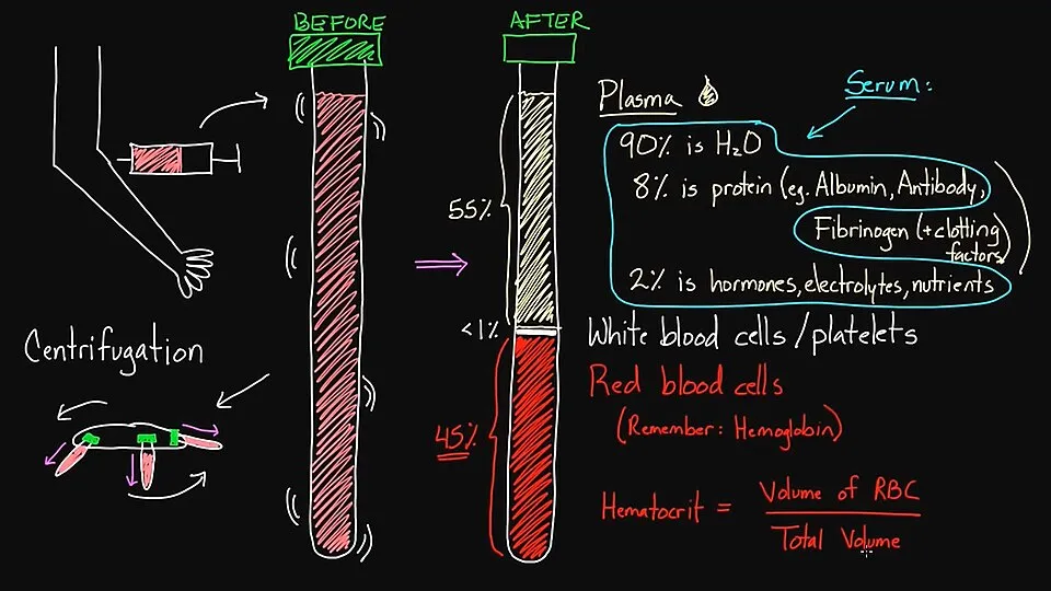 A Khan Academy blackboard example, representing the educational platform format that Crash Course Art History builds on, bringing structured, fast-paced video education to art history