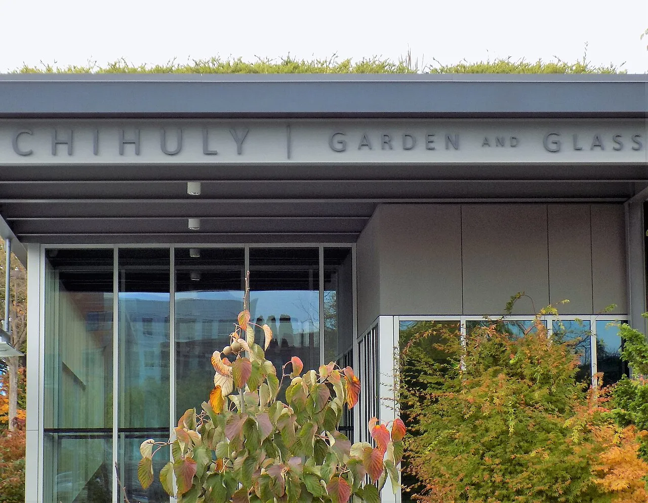 Dale Chihuly glass installation at the Chihuly Garden and Glass museum in Seattle, showing large-scale blown glass sculptures in vivid orange, red, and yellow arranged against a garden backdrop