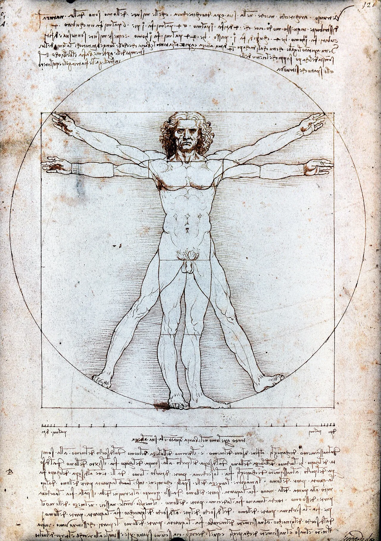 The Vitruvian Man (c.1490) by Leonardo da Vinci, pen and ink drawing showing a male figure in two superimposed positions inscribed in a circle and square, with handwritten notes in mirror script