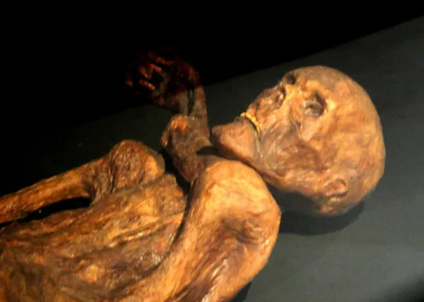 A reconstruction of Ötzi the Iceman, a naturally preserved mummy from c. 3300 BCE found in the Alps, showing dark tattoo marks on the skin, 61 carbon-ink tattoos in 19 groups of parallel lines