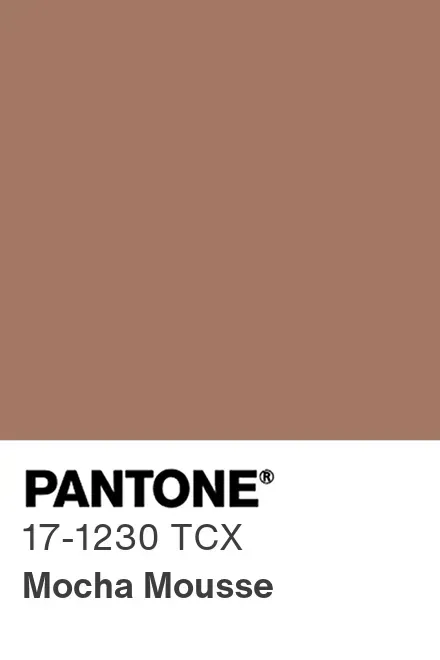 A Pantone color guide showing rows of color chips with numerical codes, demonstrating the standardized color matching system used in design and printing