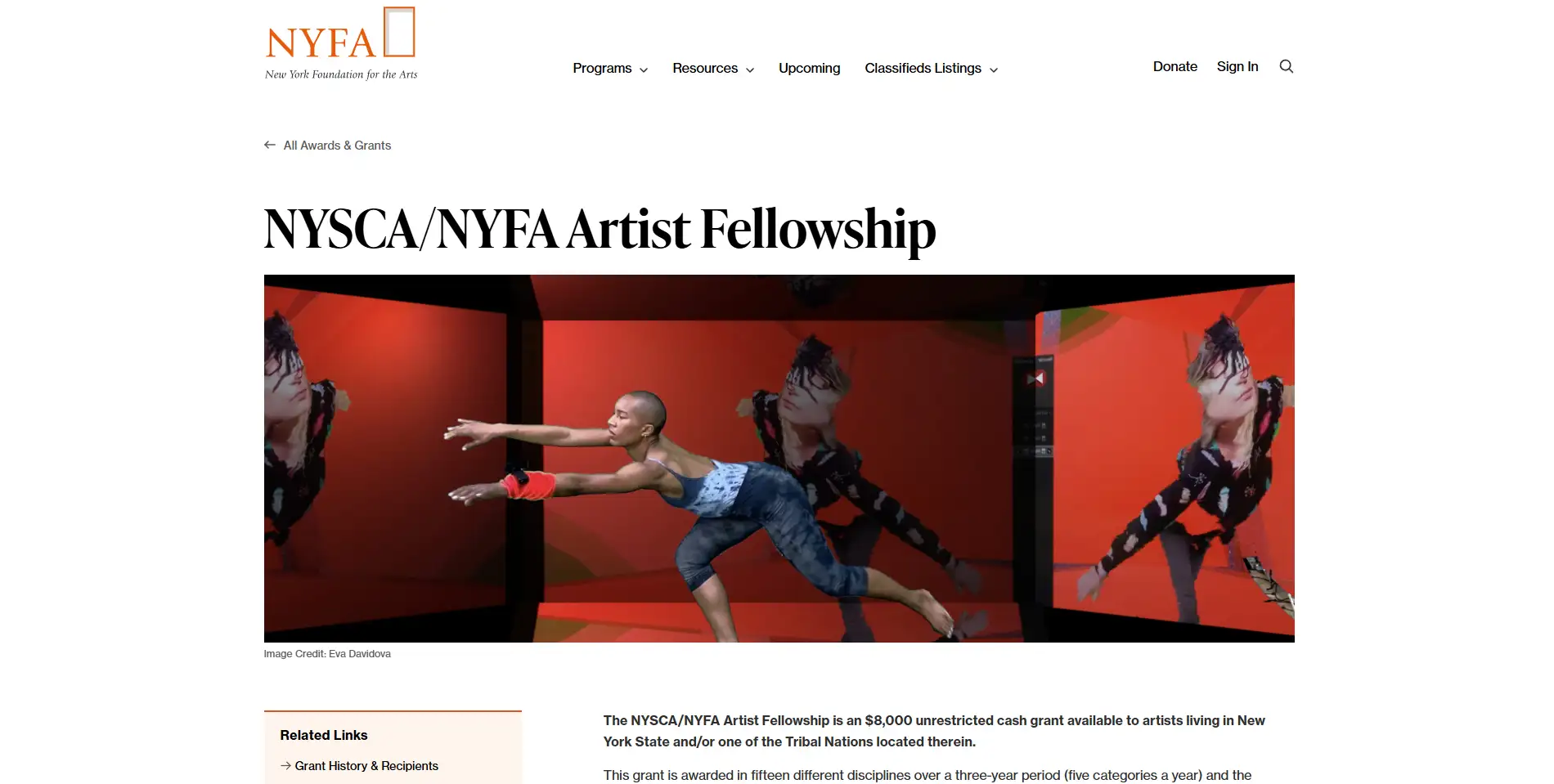 New York Foundation for the Arts (NYFA)