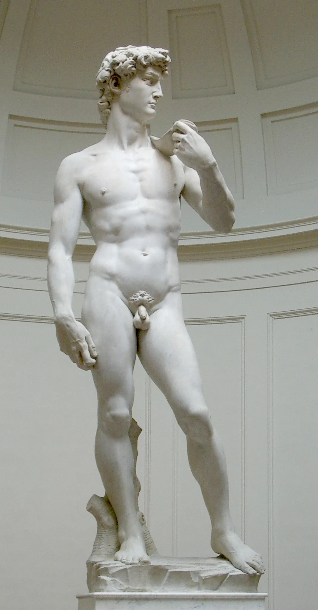 David by Michelangelo, the iconic marble sculpture showing the biblical hero in a contrapposto stance